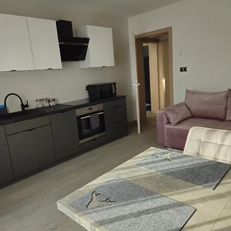 公寓 Grafitowe Czarna Góra